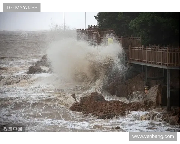 台风太阳来袭风雨交加冲击城市居民命运与自然抗争的故事