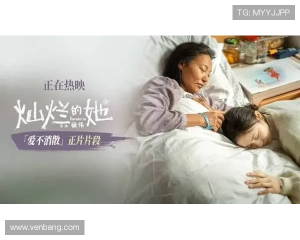 媳妇的眼泪：一场关于爱与成长的无声告白