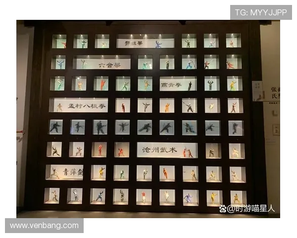 我为太极狂：在刚柔并济中，寻觅身心的无限可能